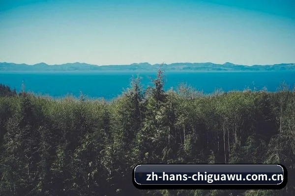 吃瓜APP上线 - 抗住顶流塌房的千万级流量洪峰，吃瓜网站原生APP正式上线，多端无缝同步您的追星日历。